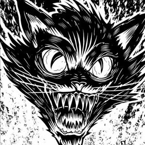 Meet your Posher, Luis